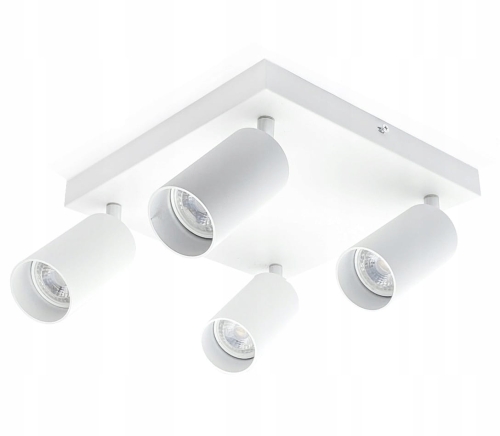 00d73e81c922592b971fb38a444890b7