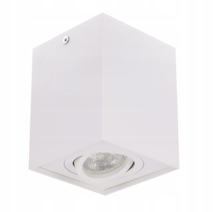 Oprawa NATYNKOWA ruchoma spot GU10 LED KOLORY