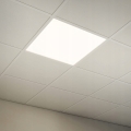 22062eead7f28548f9d0f58391ed842d