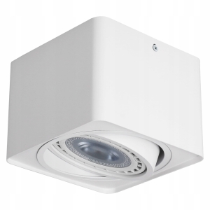 Oprawa Natynkowa Halogenowa LED Lampa Sufitowa GU10 AR111 TUBA SPOT Ruchoma