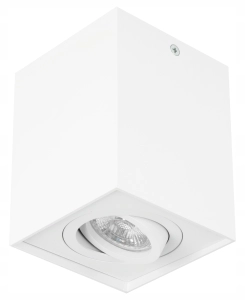 Oprawa NATYNKOWA ruchoma spot GU10 LED KOLORY