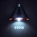ef9b09576d61770524cb6ea5295f462c