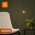 4d91276e6ab99f1fc20cb3c8d8ae7388