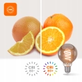 6949d5364c08fd1dd62f17f9e05d4d88