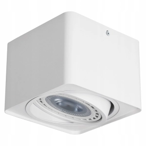 Oprawa Natynkowa Halogenowa LED Lampa Sufitowa GU10 AR111 TUBA SPOT Ruchoma