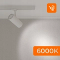 faf9e407c0d112a21d7826ad2ebab04d