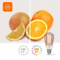f4712183306621b851e5613eb3b05295
